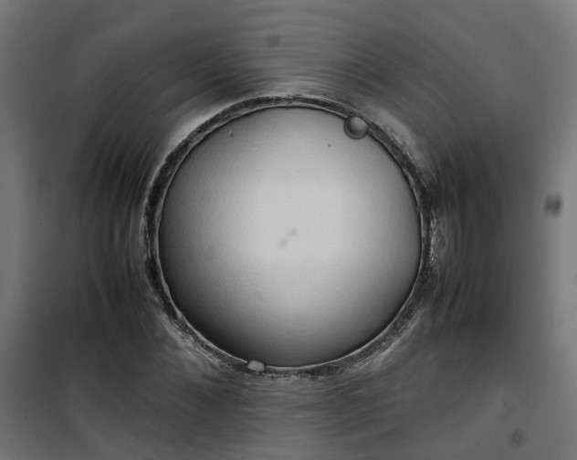 X0000100480876200806201627