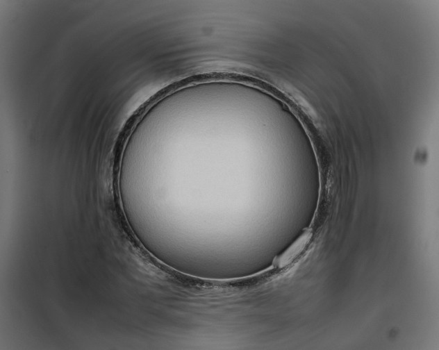 X0000100480877200806201627