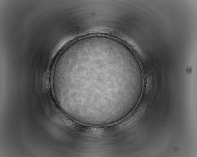 X0000100480878200806201627