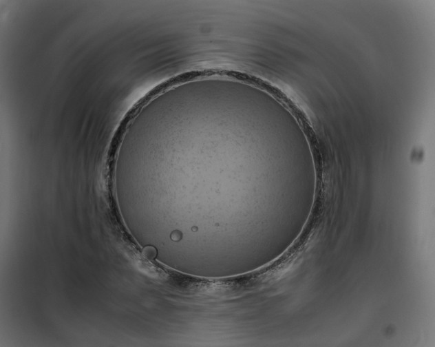 X0000100480879200806201627