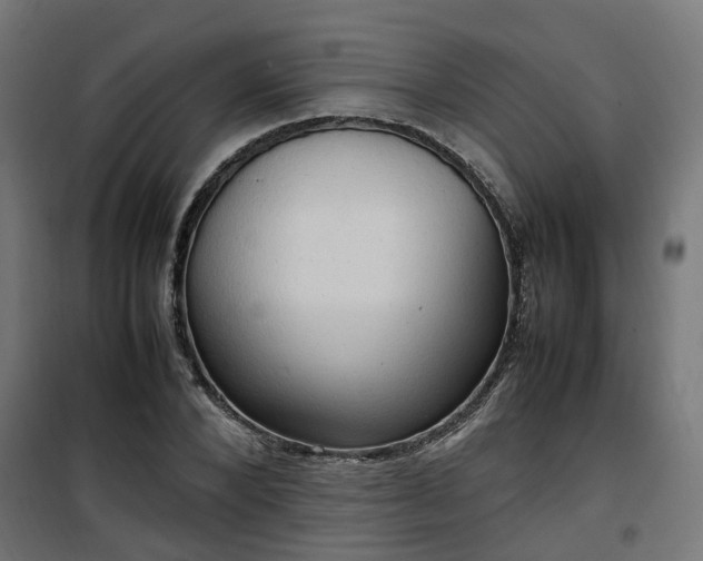 X0000100480880200806201627