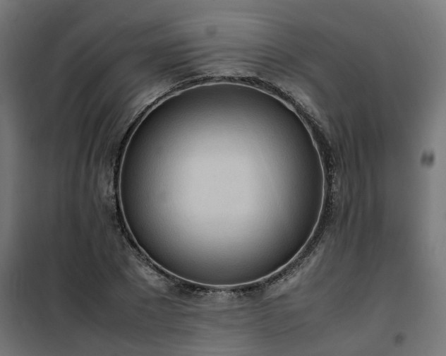 X0000100480881200806201627