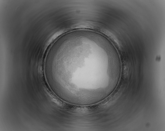 X0000100480882200806201627