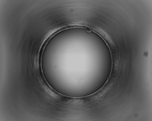 X0000100480884200806201627