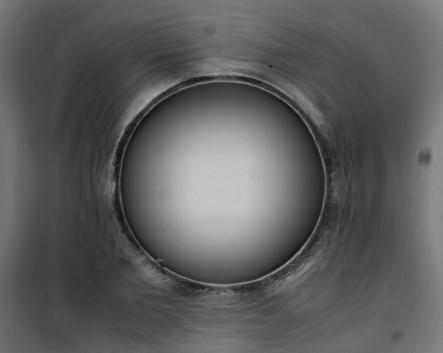 X0000100480885200806201627