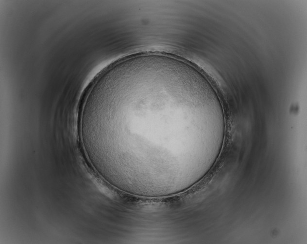 X0000100480886200806201627