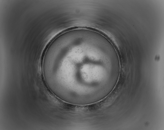 X0000100480887200806201627