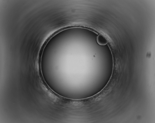 X0000100480888200806201627
