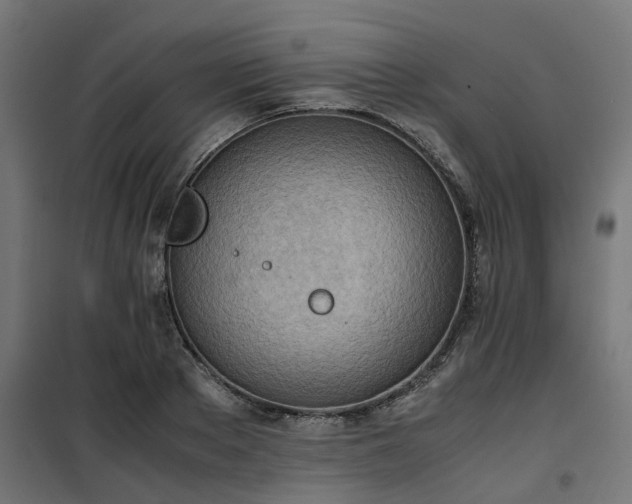 X0000100480889200806201627