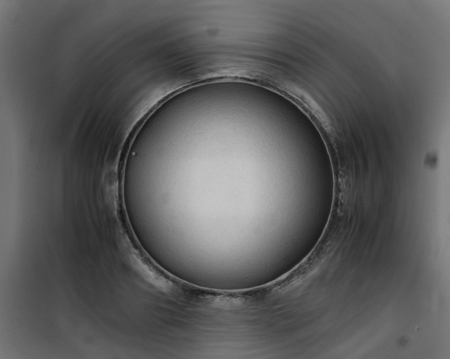 X0000100480890200806201627