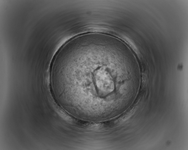 X0000100480891200806201627