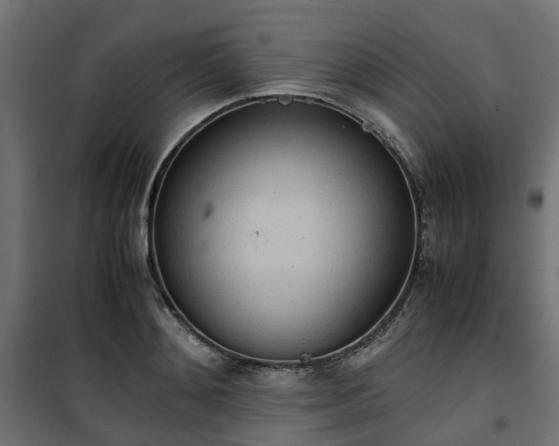 X0000100480892200806201627