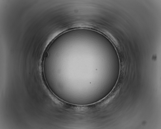 X0000100480893200806201627