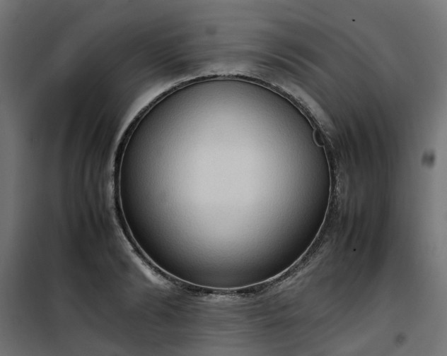 X0000100480894200806201627