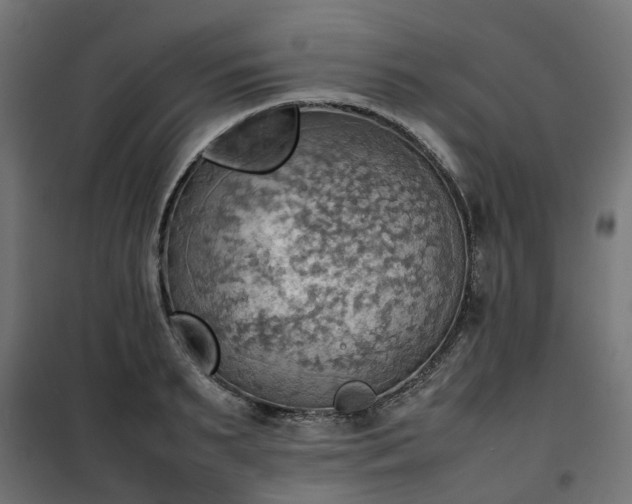 X0000100480895200806201627