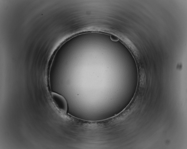 X0000100480896200806201627