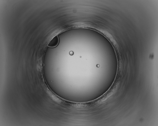 X0000100480897200806201627