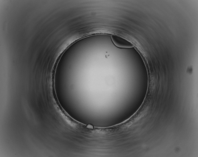 X0000100480898200806201627