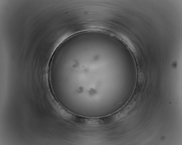 X0000100480899200806201627