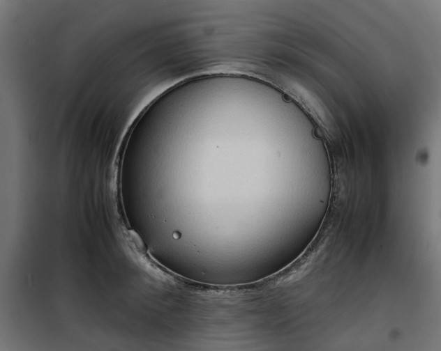 X0000100480900200806201627