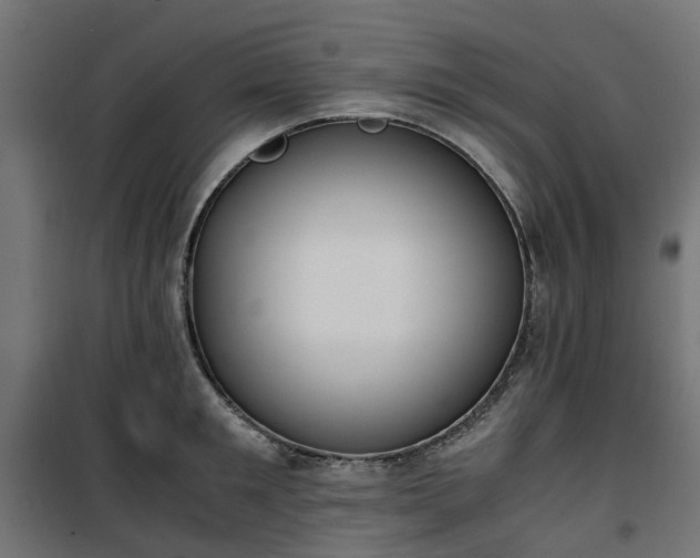 X0000100480901200806201627