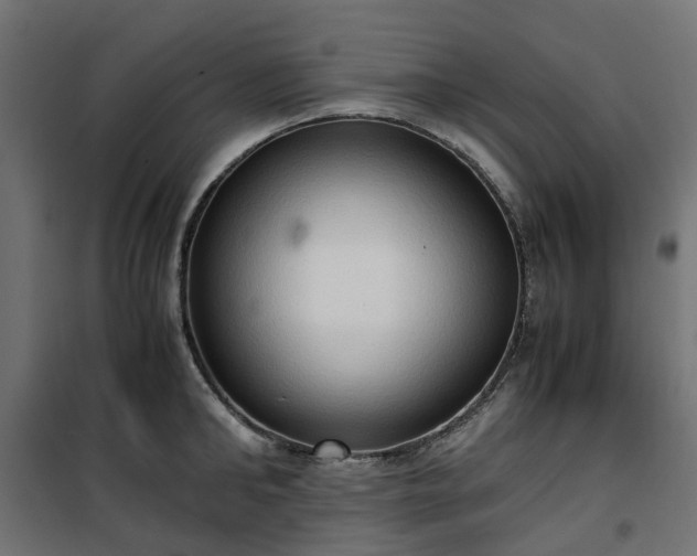 X0000100480902200806201627