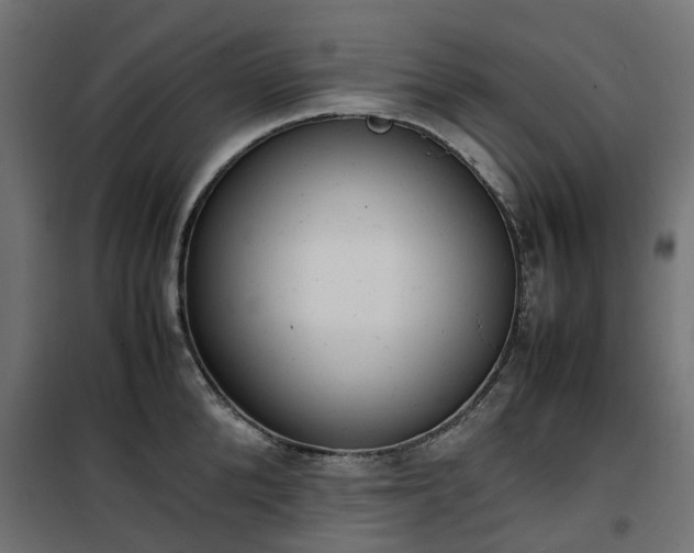 X0000100480904200806201627