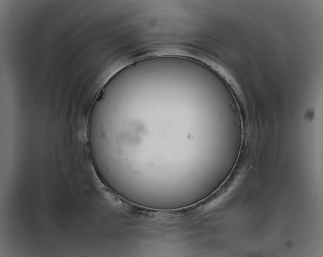 X0000100480905200806201627