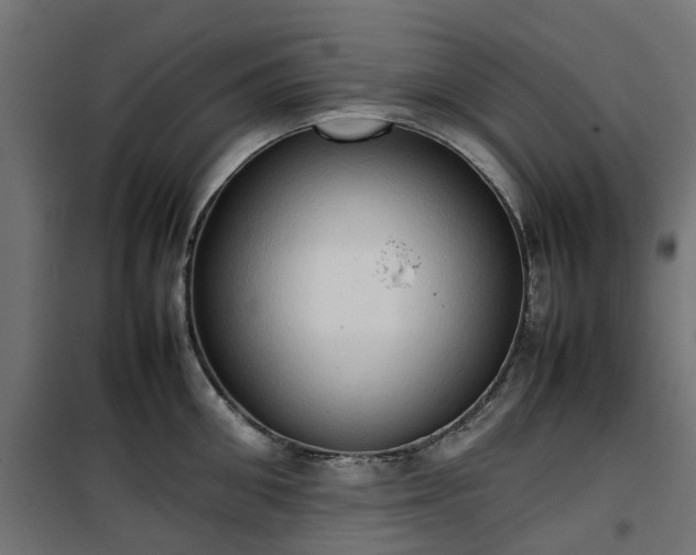 X0000100480906200806201627