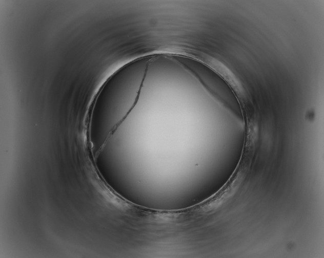 X0000100480908200806201627