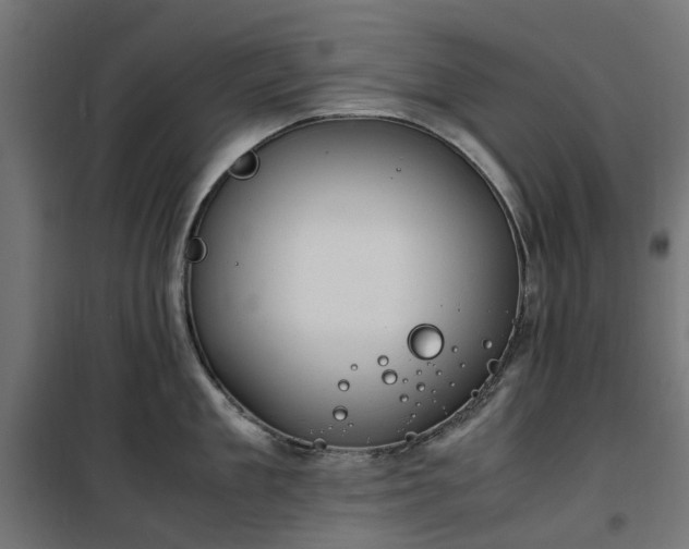 X0000100480909200806201627