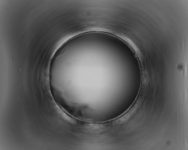 X0000100480910200806201627