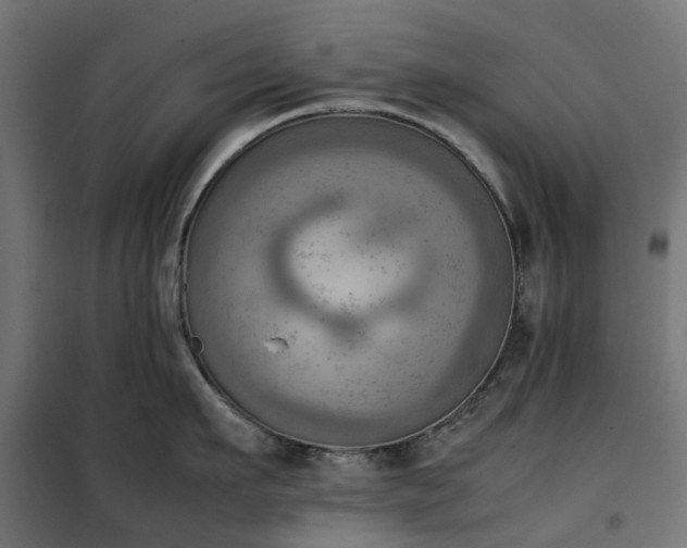 X0000100480911200806201627