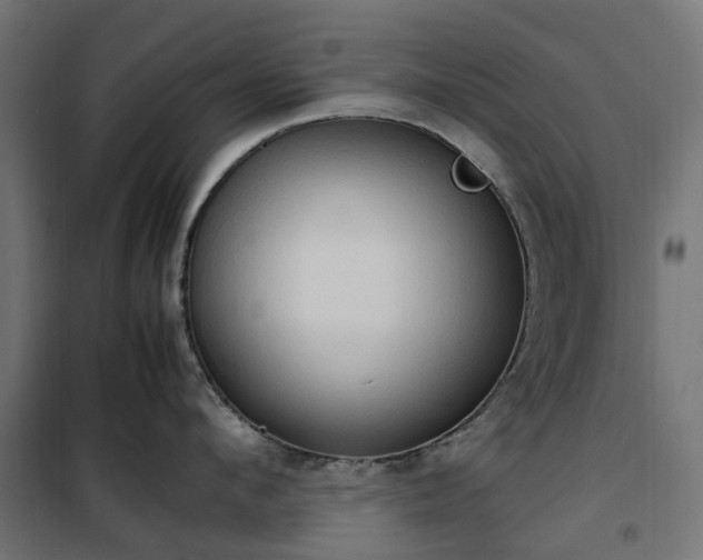 X0000100480912200806201627