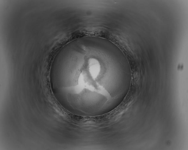 X0000100480913200806201626