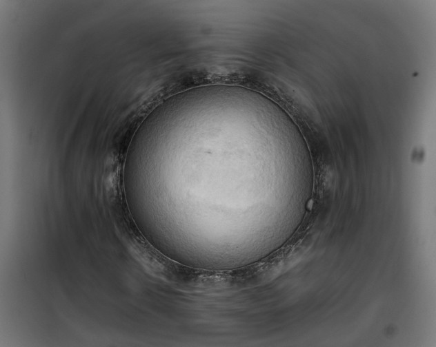X0000100480914200806201626