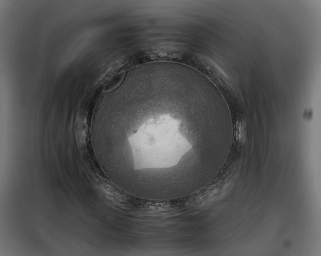 X0000100480915200806201626
