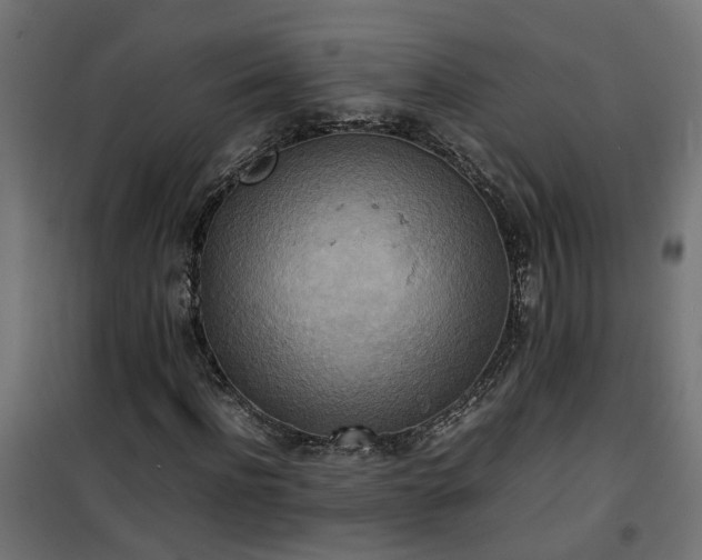 X0000100480916200806201626