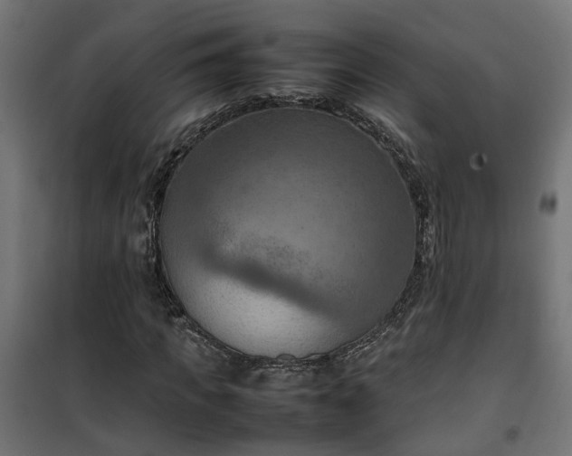 X0000100480917200806201626