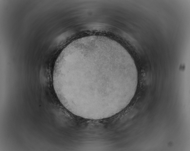 X0000100480918200806201626