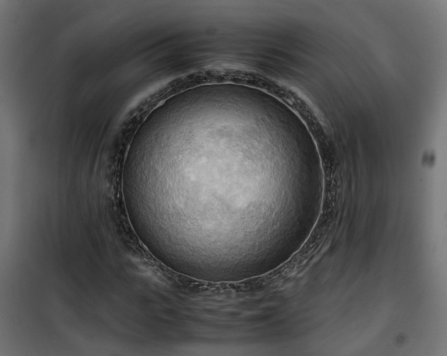 X0000100480919200806201626