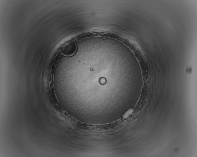 X0000100480920200806201626