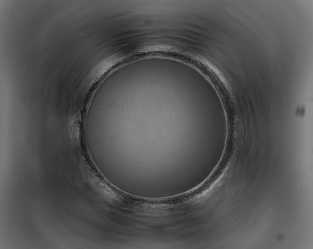 X0000100480921200806201626