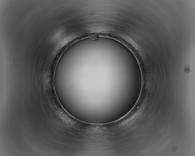 X0000100480922200806201626