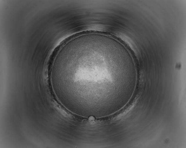 X0000100480923200806201626