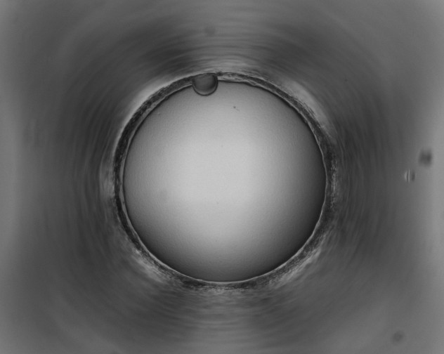 X0000100480924200806201626