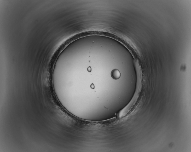 X0000100480926200806201626