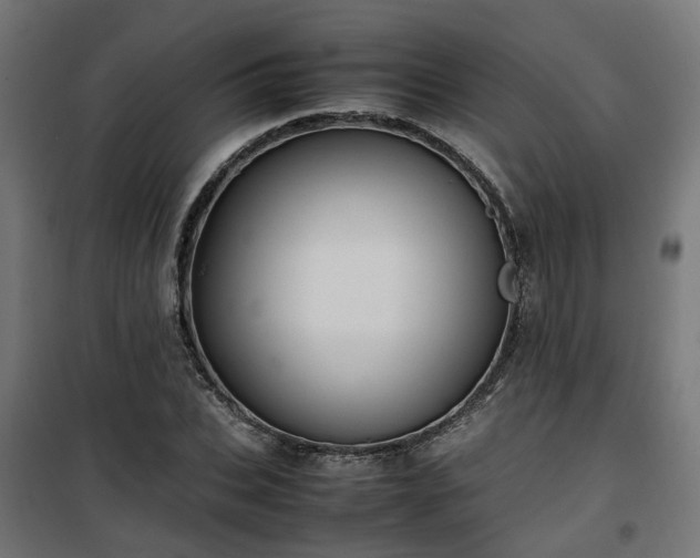 X0000100480927200806201626