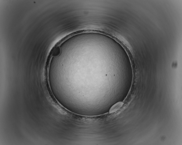 X0000100480928200806201626
