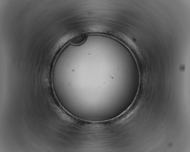 X0000100480930200806201626